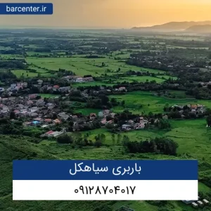 باربری سیاهکل